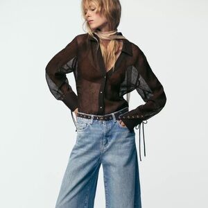 Zara Brown Sheer Blouse